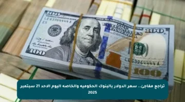 تراجع مفاجئ.. سعر الدولار بالبنوك الحكومية والخاصة اليوم الأحد 21 سبتمبر 2025